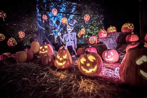 Reduced price code for magic of the jack o lantern